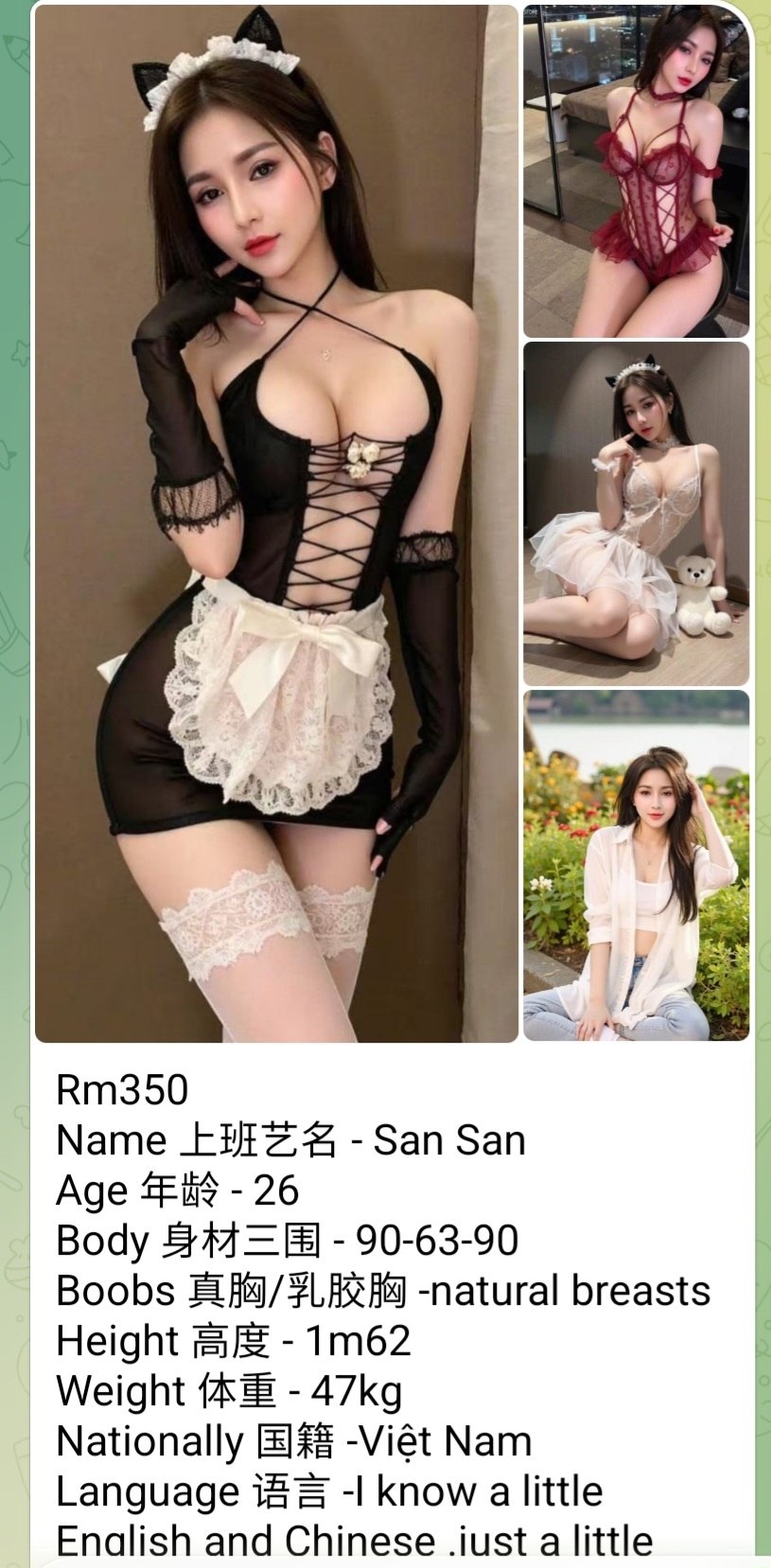 vietnam pretty san san